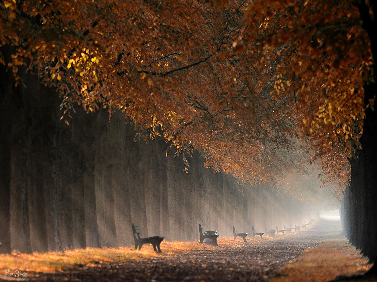 La photo du jour : Bank-avenue par Frank Rückert - manu-b.com