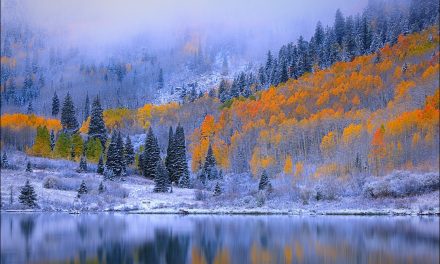 La photo du jour : between autumn and winter par Vitali Prokopenko