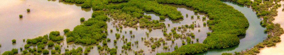 Delta du Saloum par UNESCO Africa